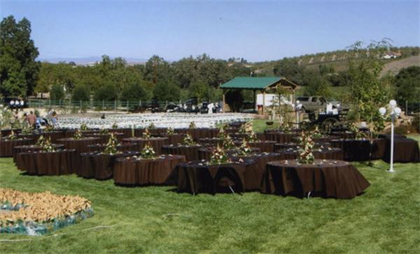The Eden House Vineyard Hotel Templeton Exterior photo