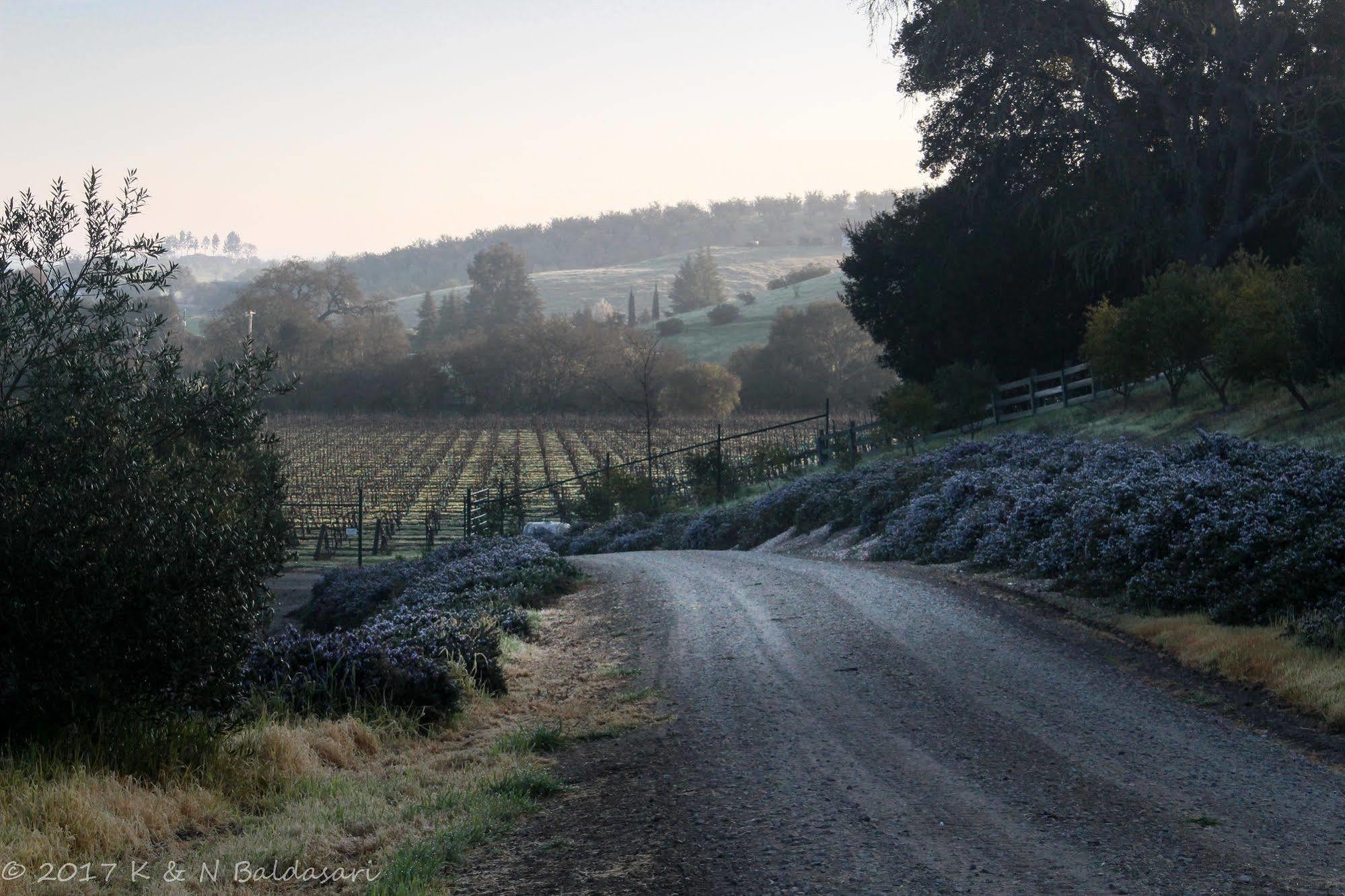 The Eden House Vineyard Hotel Templeton Exterior photo